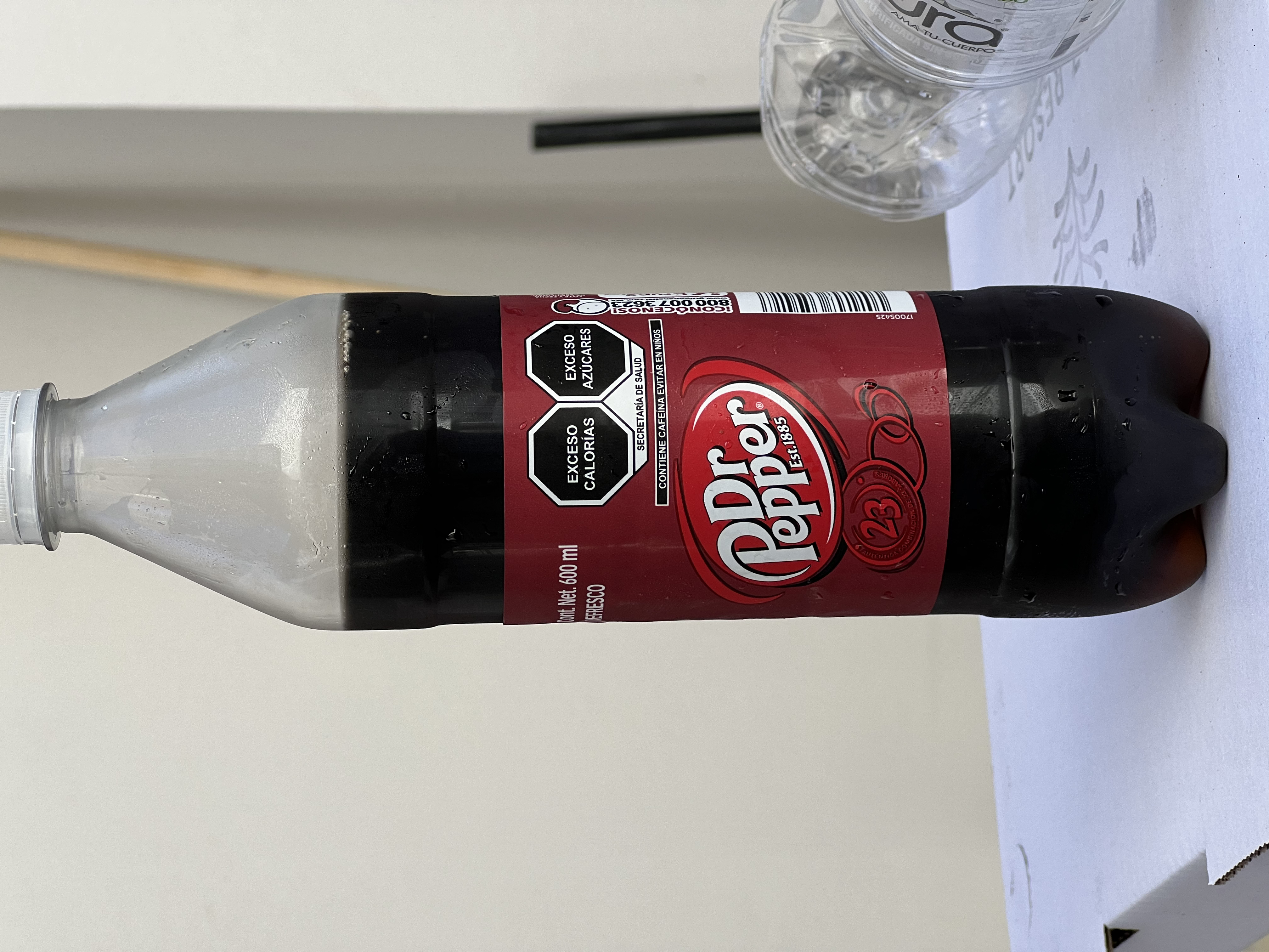 ./2024/13 - Cabo/IMG_4530.jpg